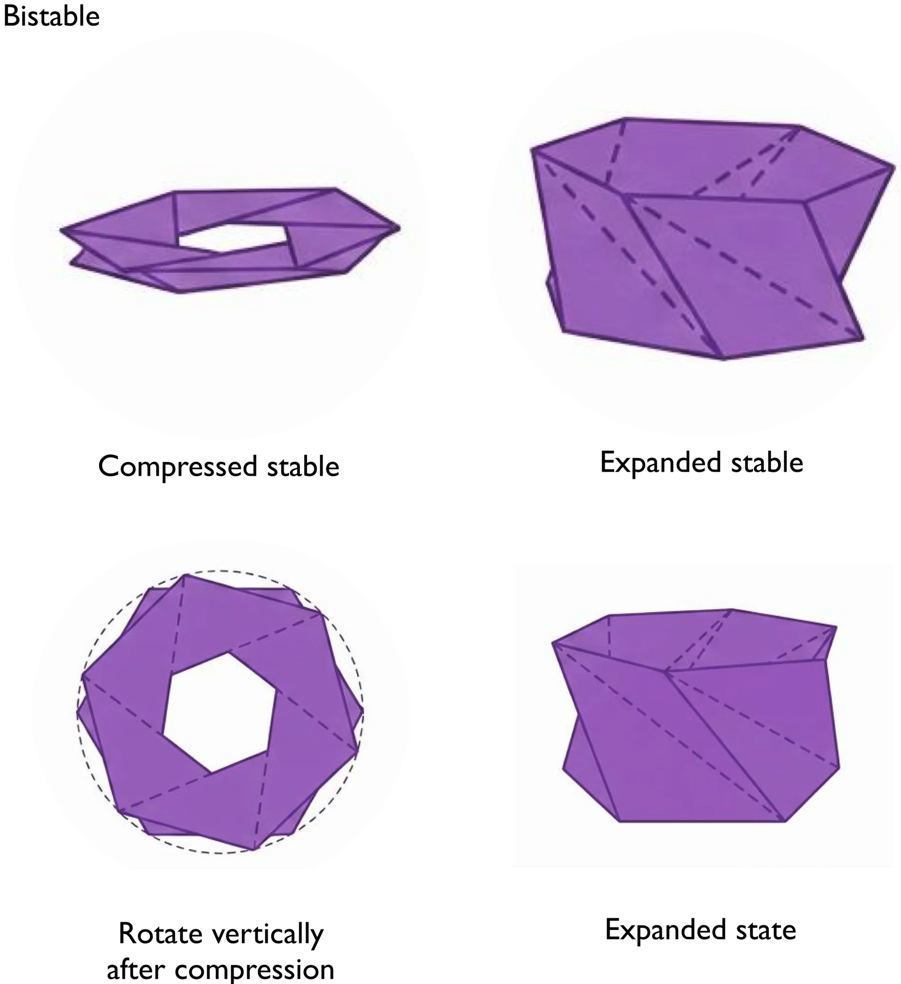 Diagram of the fold's compressed, expanded and rotated states