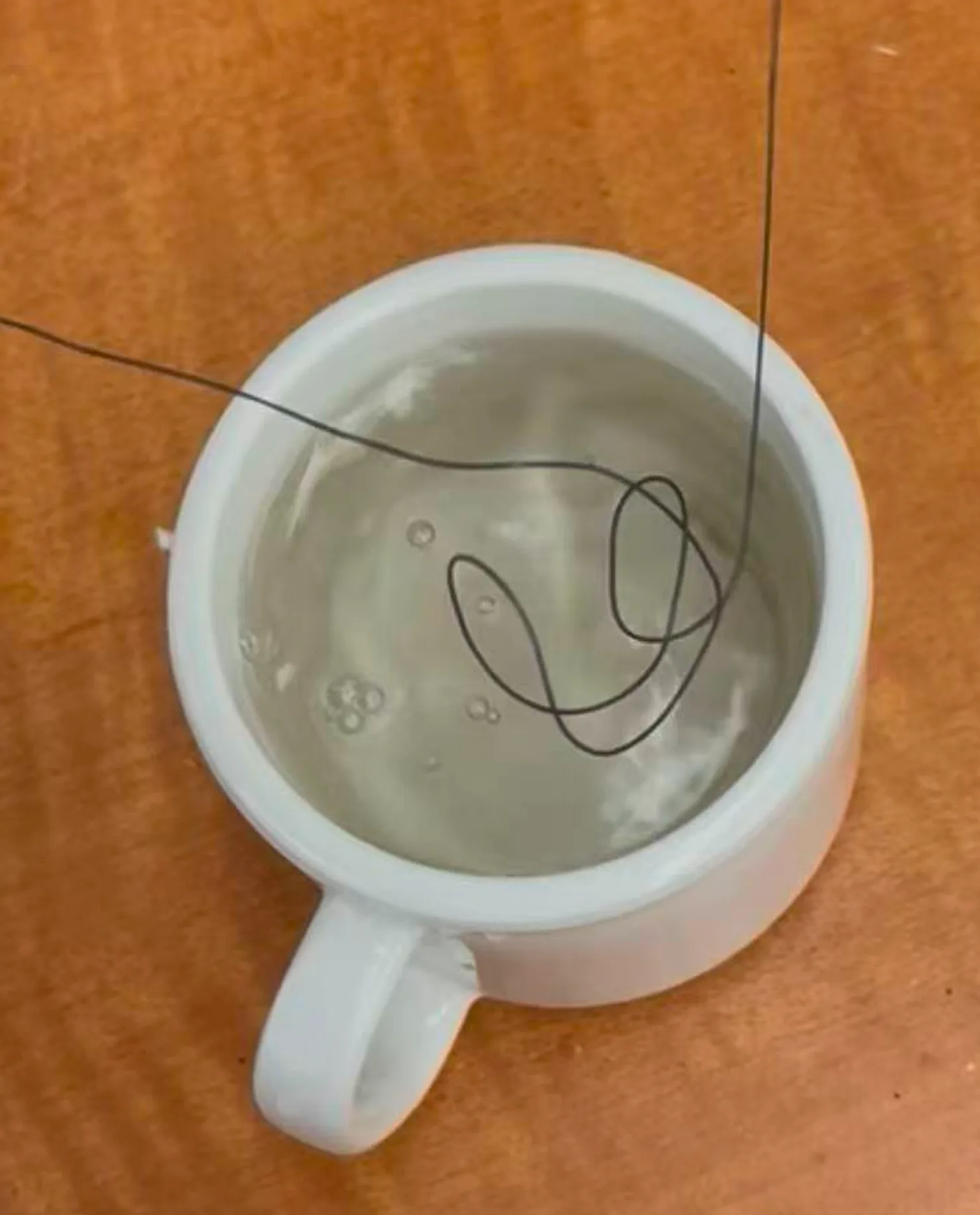 Nitinol wire coiled in a mug of water during testing
