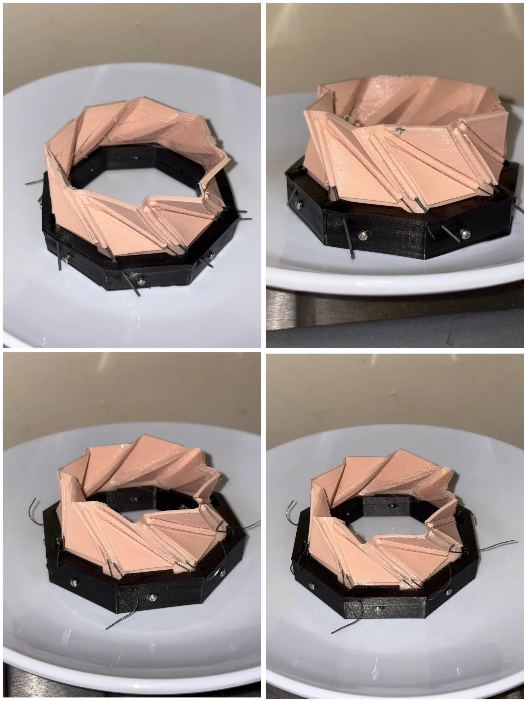 Four views of the final rim prototype on a white plate